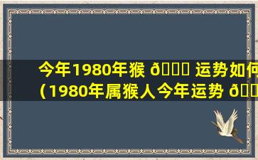 今年1980年猴 🐈 运势如何（1980年属猴人今年运势 🐦 2021年每月运势）